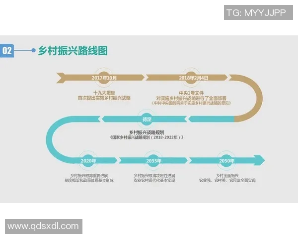 以交通发展为核心推动城市可持续发展与社会经济进步的路径探索 以交通发展为核心推动城市可持续发展与社会经济进步的路径探索