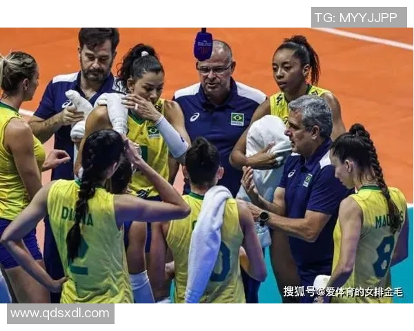 广州排球队反击体系解析与战术运用探讨 广州排球队反击体系解析与战术运用探讨