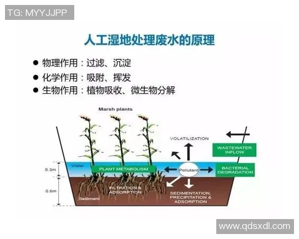 科学羽毛球灵活性训练方法提升运动表现与竞技水平的全面指南 科学羽毛球灵活性训练方法提升运动表现与竞技水平的全面指南