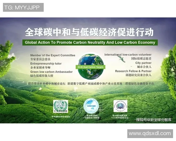 中国政府发布新政策推动绿色经济发展 助力实现碳中和目标