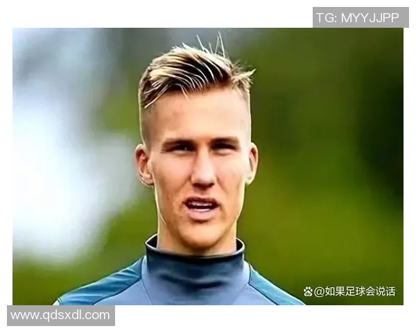 全球贵族足球明星排行榜揭晓谁将成为足坛新贵的领军人物 全球贵族足球明星排行榜揭晓谁将成为足坛新贵的领军人物